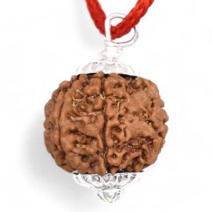 7 Mukhi Rudraksha